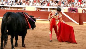 bullfighting_fe-300x171.jpg
