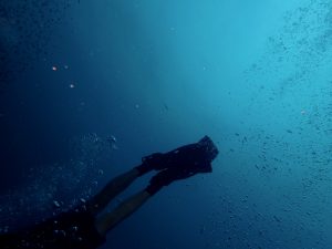 diver-1850255_1920-300x225.jpg