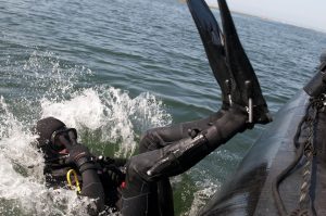 diver-804063_1920-300x199.jpg