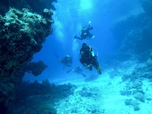 diving-813028_1920-300x225.jpg