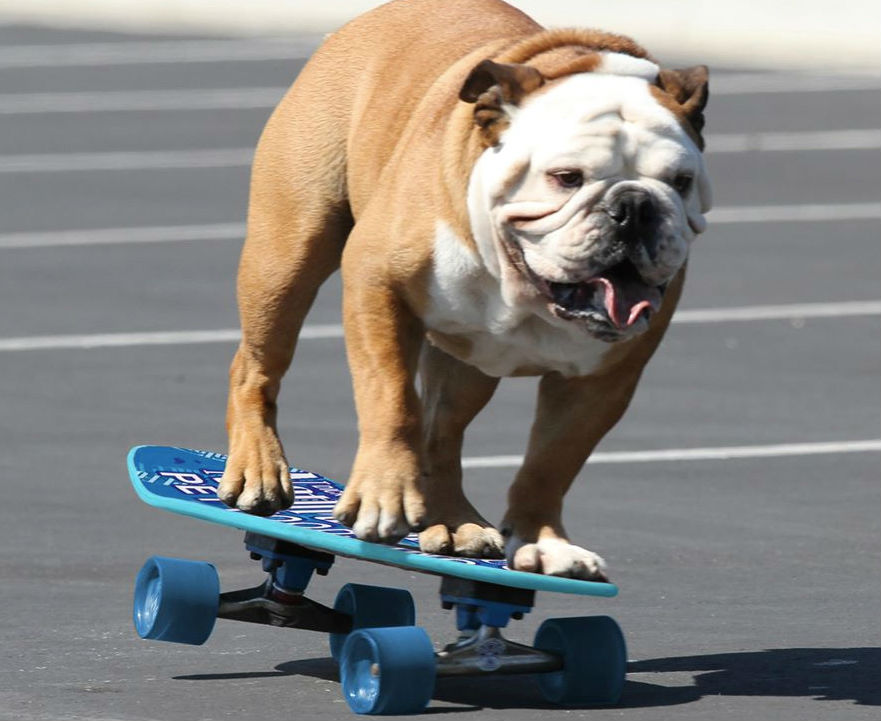 flying_skateboard-1528229295768.jpg