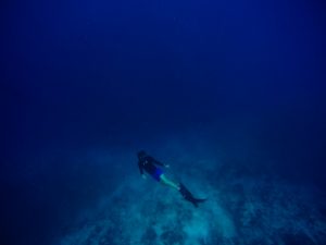person-scuba-diving-underwater-deep-sea-water-3041871-300x225.jpg