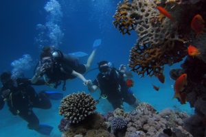 three-people-diving-on-body-of-water-1540108-300x200.jpg