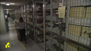 Interiors_of_Vatican_Secret_Archives_B-1-300x169.png