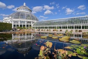 1280px-New_York_Botanical_Garden_October_2016_004-300x200.jpg