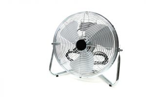 fan-1542379009689-300x200.jpg