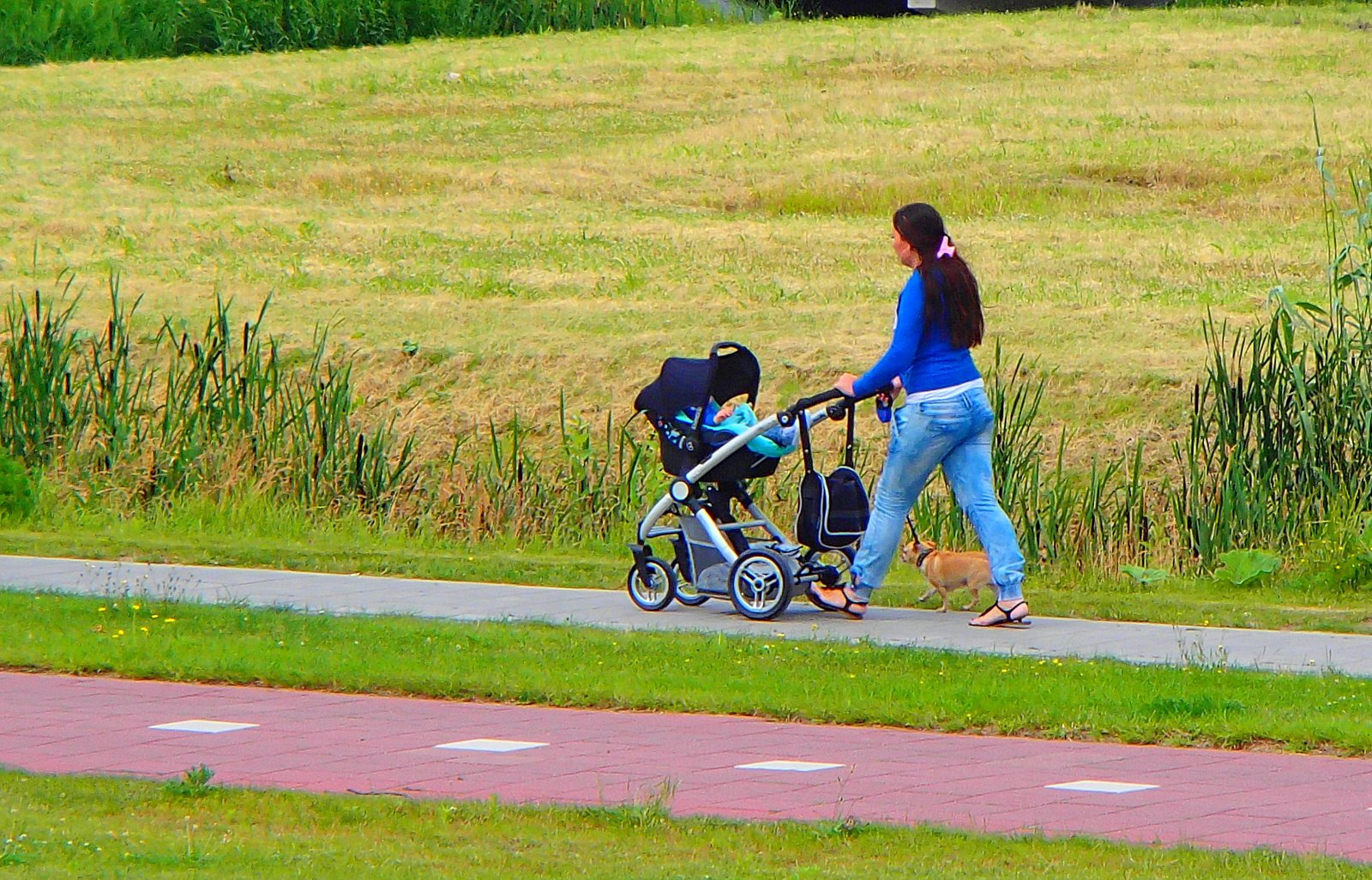 walking_female_with_stroller_and_dogs-1544138318810.JPG