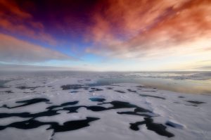 arctic-139396-300x199.jpg