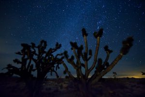 milky-way-982885-300x200.jpg