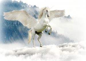 unicorn-2875349-300x214.jpg