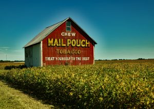 mail-pouch-tobacco-1848558-300x214.jpg