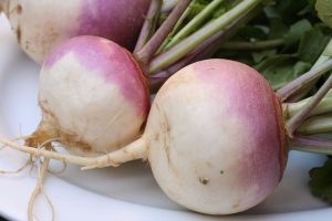 Turnip_2622027-300x200.jpg