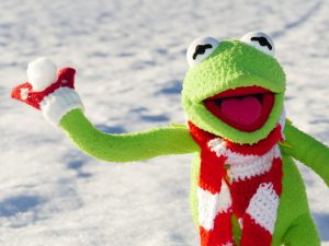 kermit-601710_1920-300x225.jpg