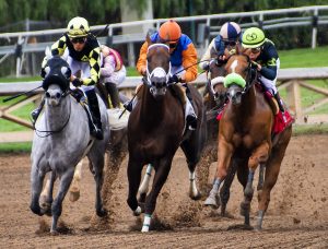 horses-3811270-300x228.jpg