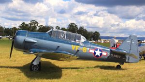 plane-3522572-300x169.jpg