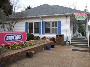 Babyland_General_Hospital_447680534-300x225.jpg