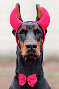 devil-1193290_1920-198x300.jpg
