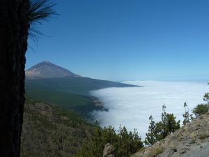 Teide, Tenerife