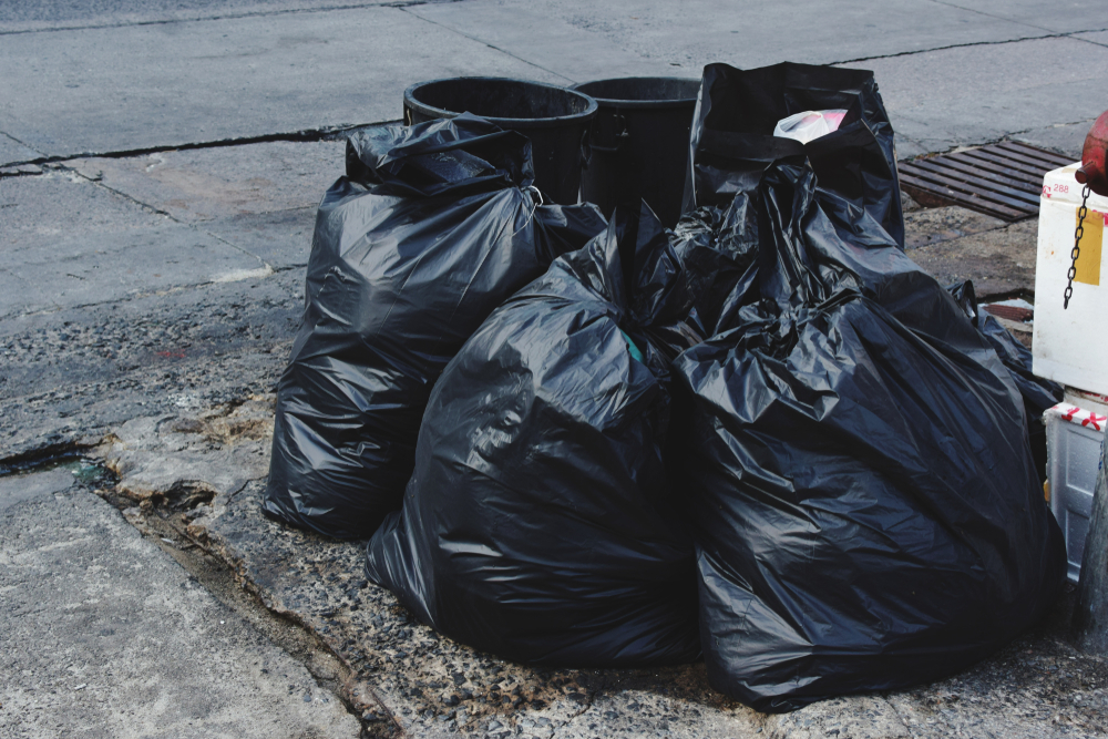 Paranormal Explained Facts