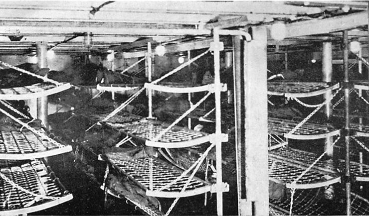 Sailors Unexplainable Things Facts