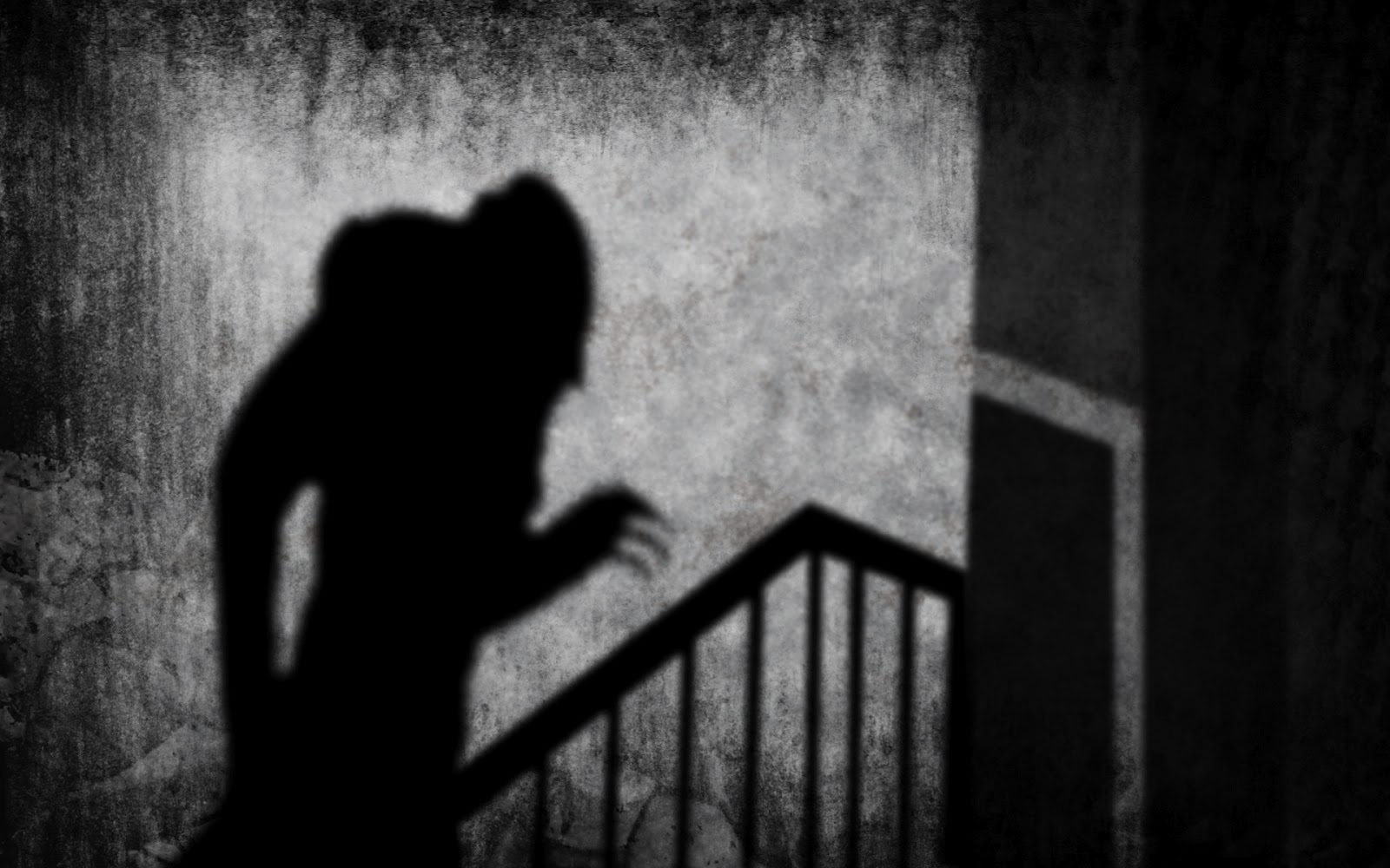 Paranormal Experiences facts