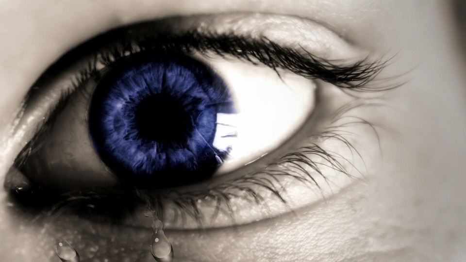 Most Bizarre Moments facts