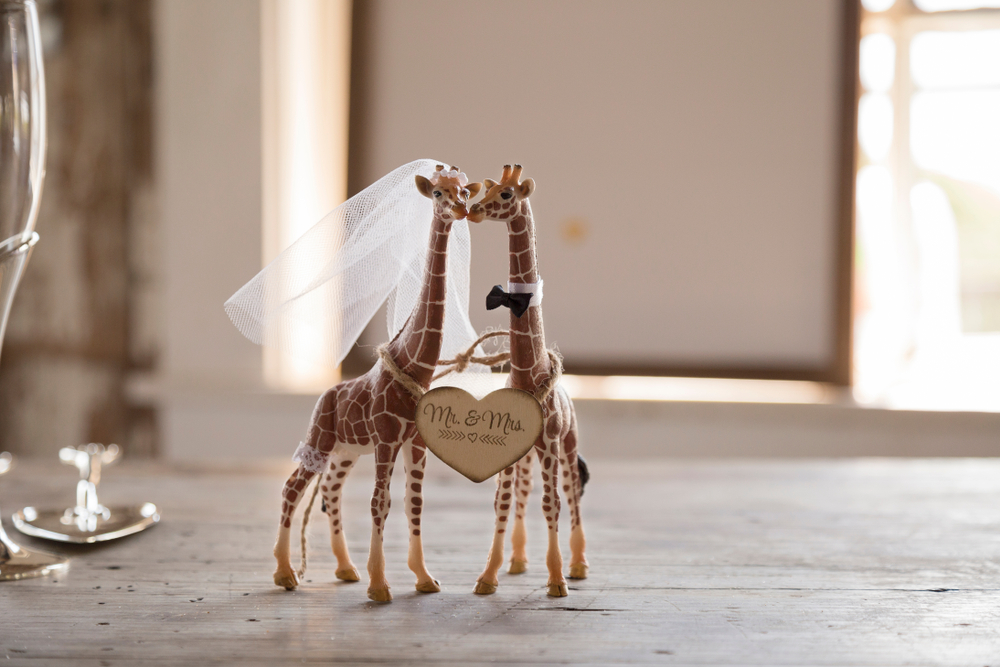 Best/Worst Wedding Facts