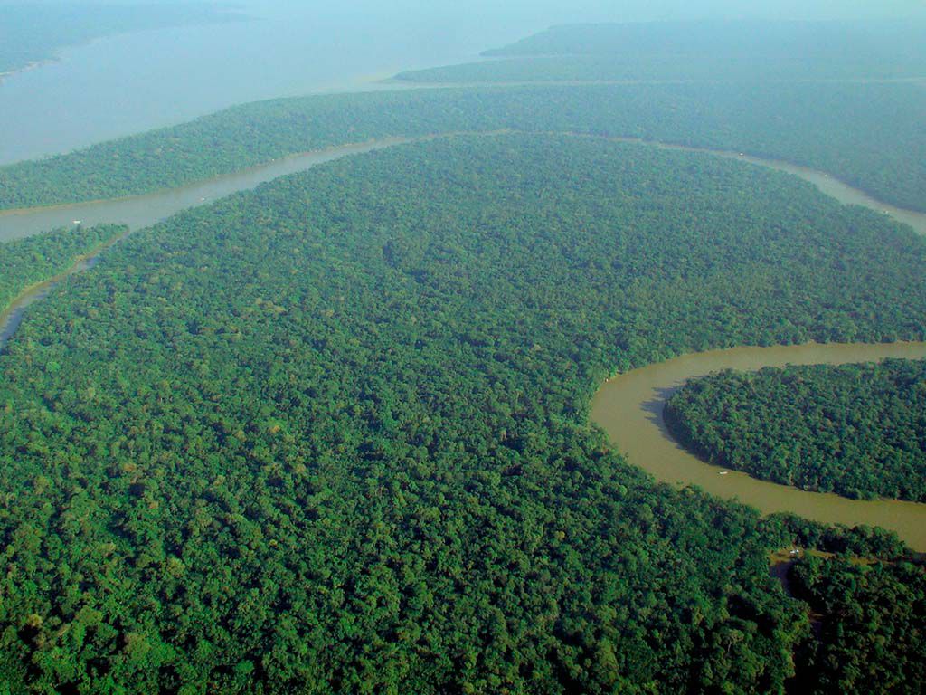 resize1_Aerial_view_of_the_Amazon_Rainforest.jpg.optimal.jpg