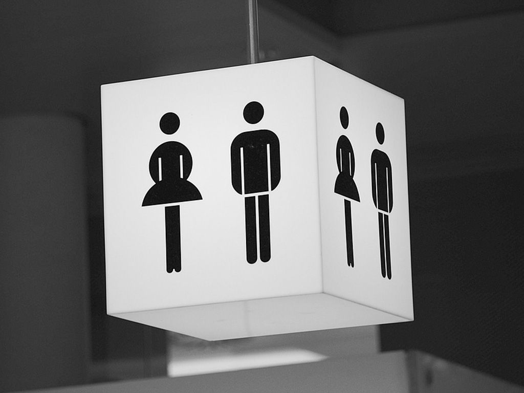 resizeToilet-Shield-Wc-Toilets-Man-Public-Toilet-Loo-548409.jpg.optimal.jpg