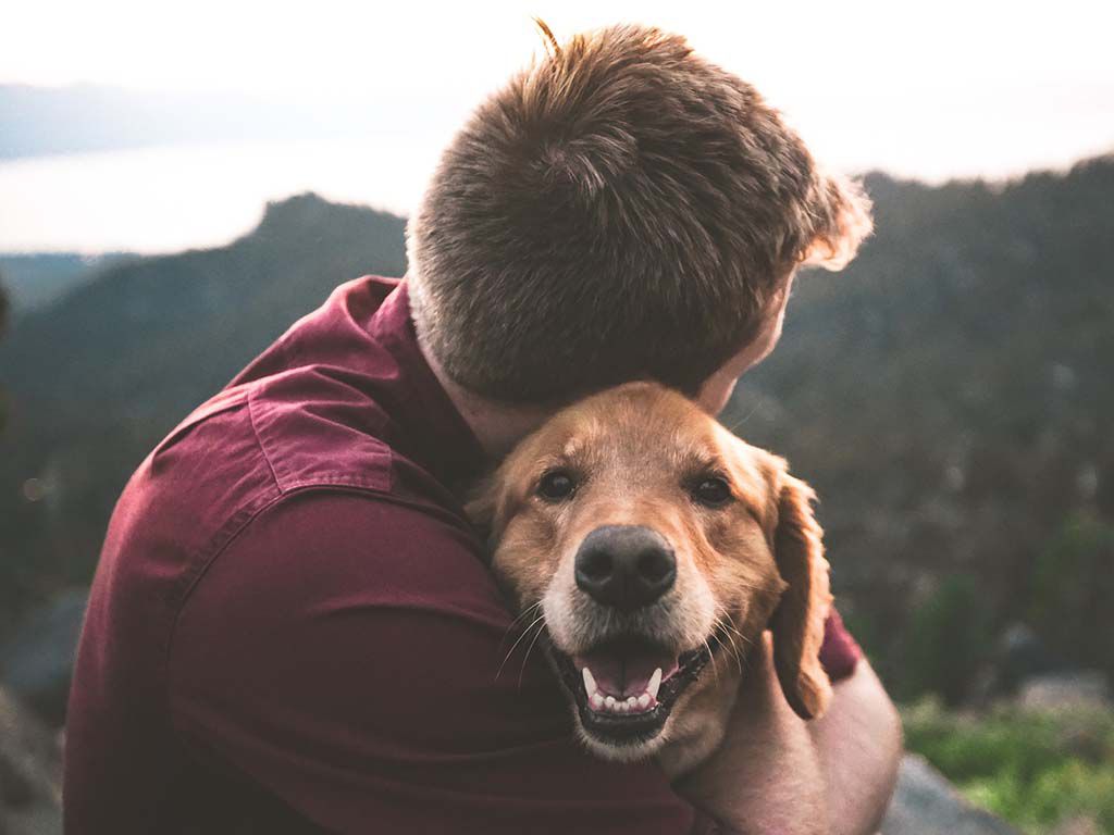 resizeeric-ward-ISg37AI2A-s-unsplash-1.jpg.optimal.jpg