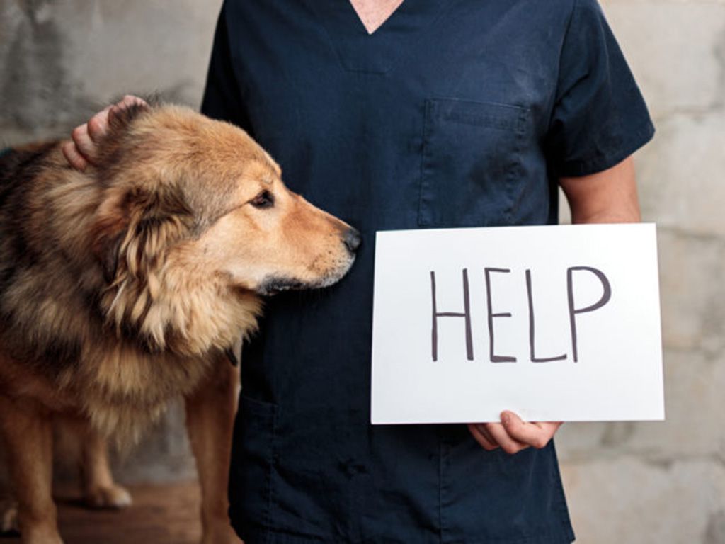 resizeshutterstock_1897753999-768x479-1.jpg.optimal.jpg