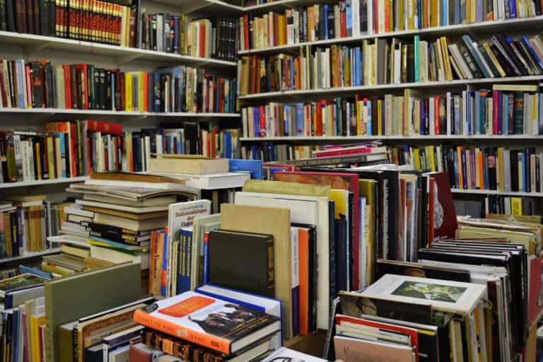 books-14148726655IP-768x512-1.jpg.optimal.jpg