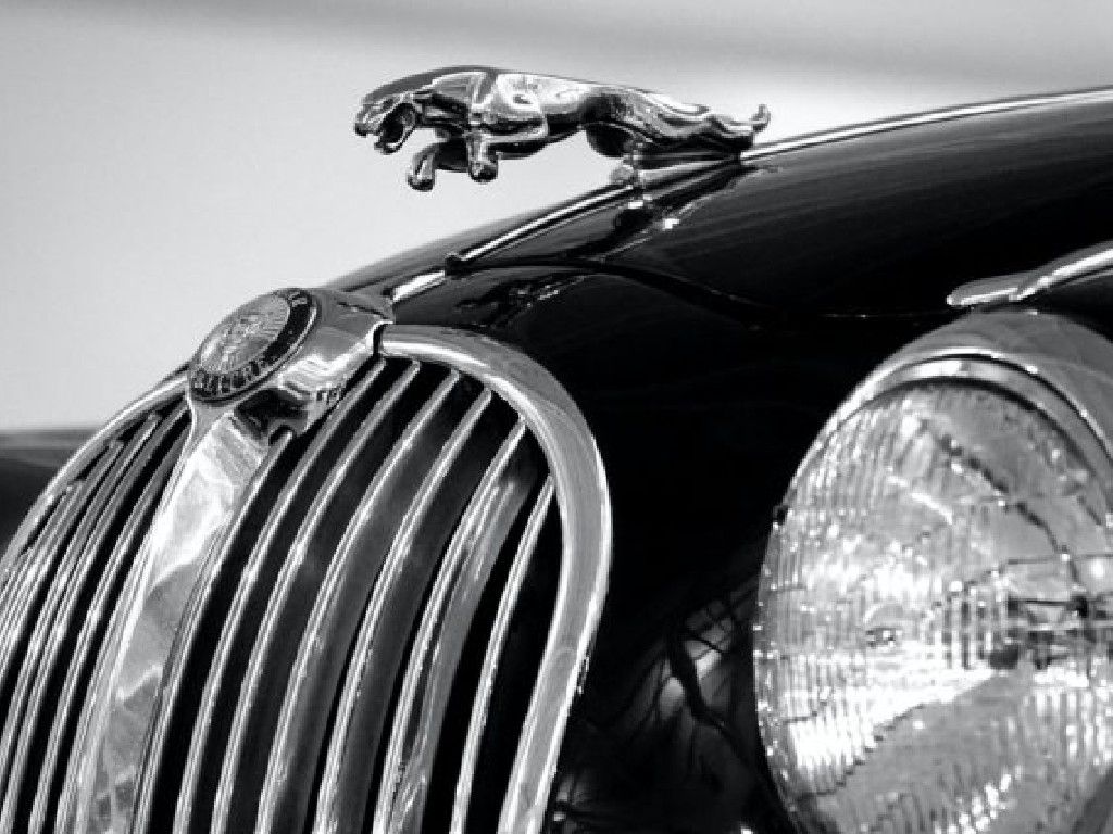 pexels-matthias-zomer-618158-768x433101-1.jpg.optimal.jpg