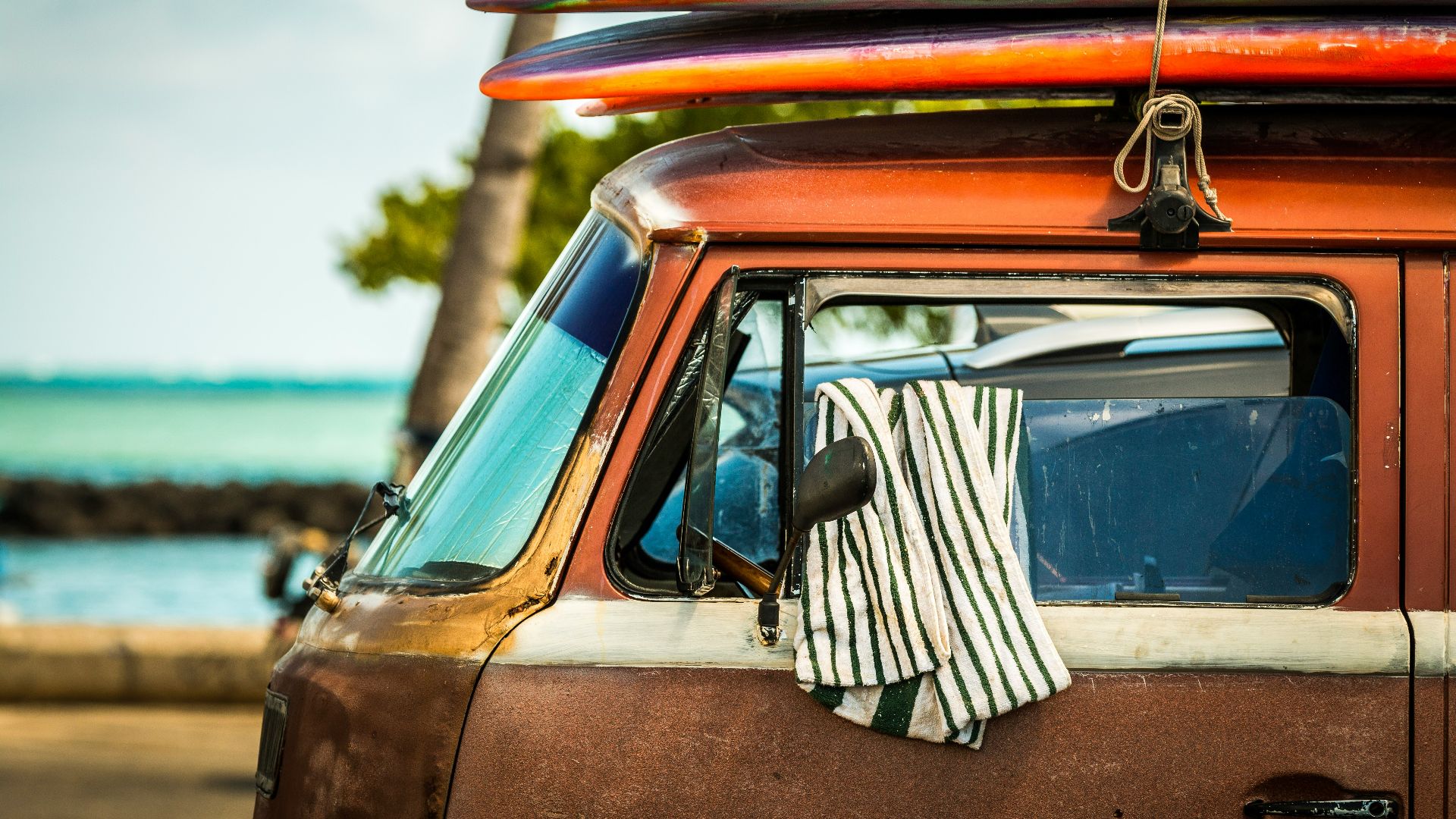 black and white stripe shirt on vehicle window