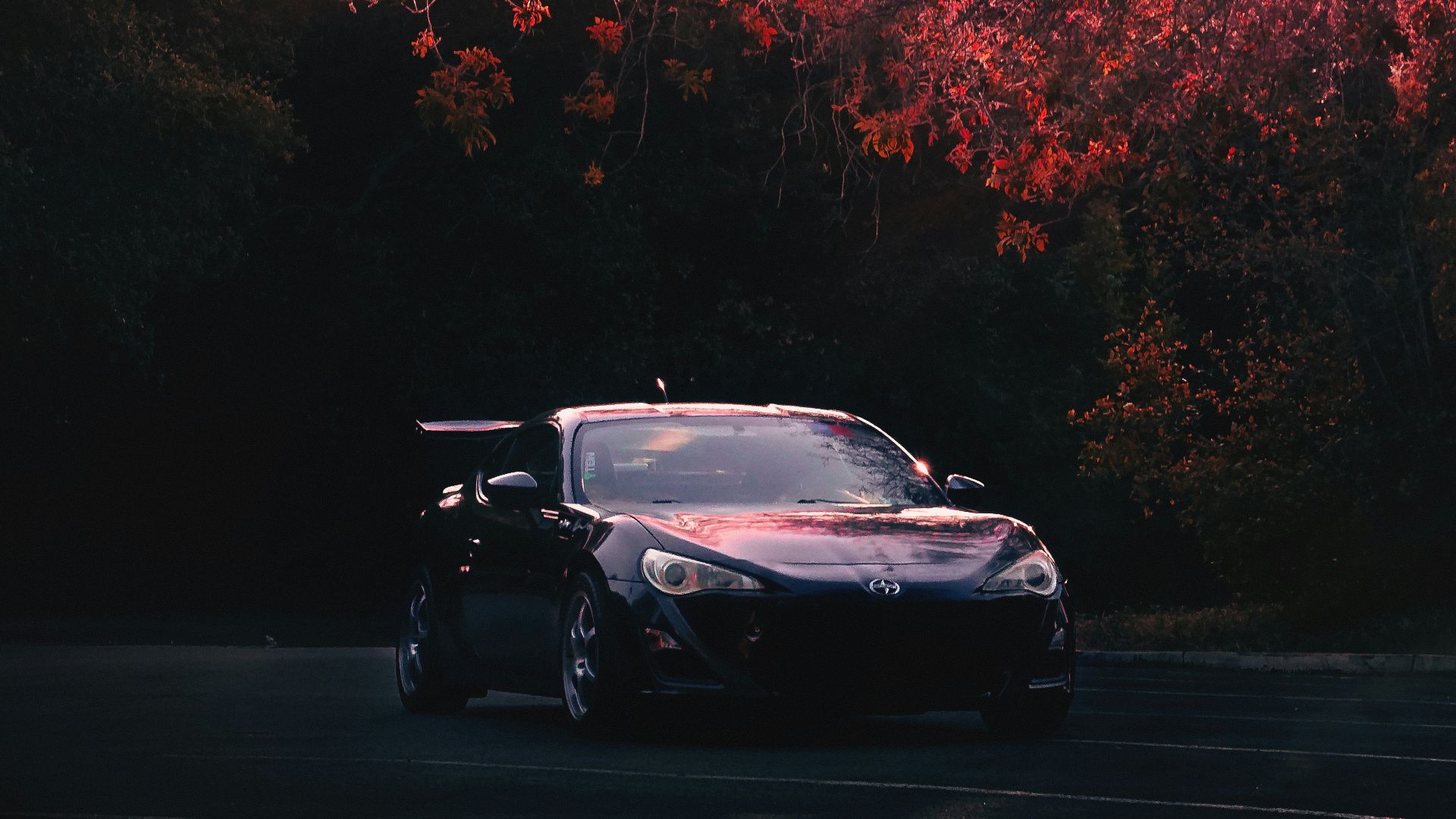 a car driving down a road next to a forest