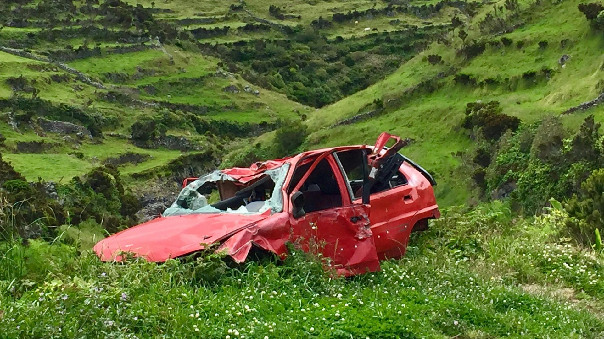 Dominika Kwiatkowska