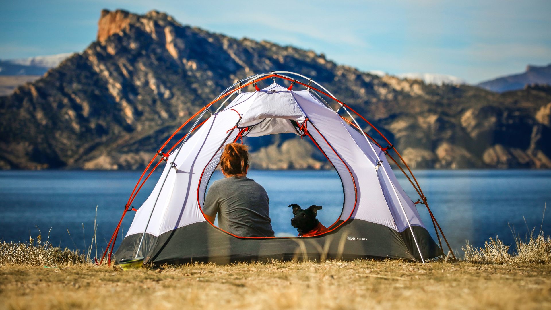woman and a dog inside outdoor tent near body of water