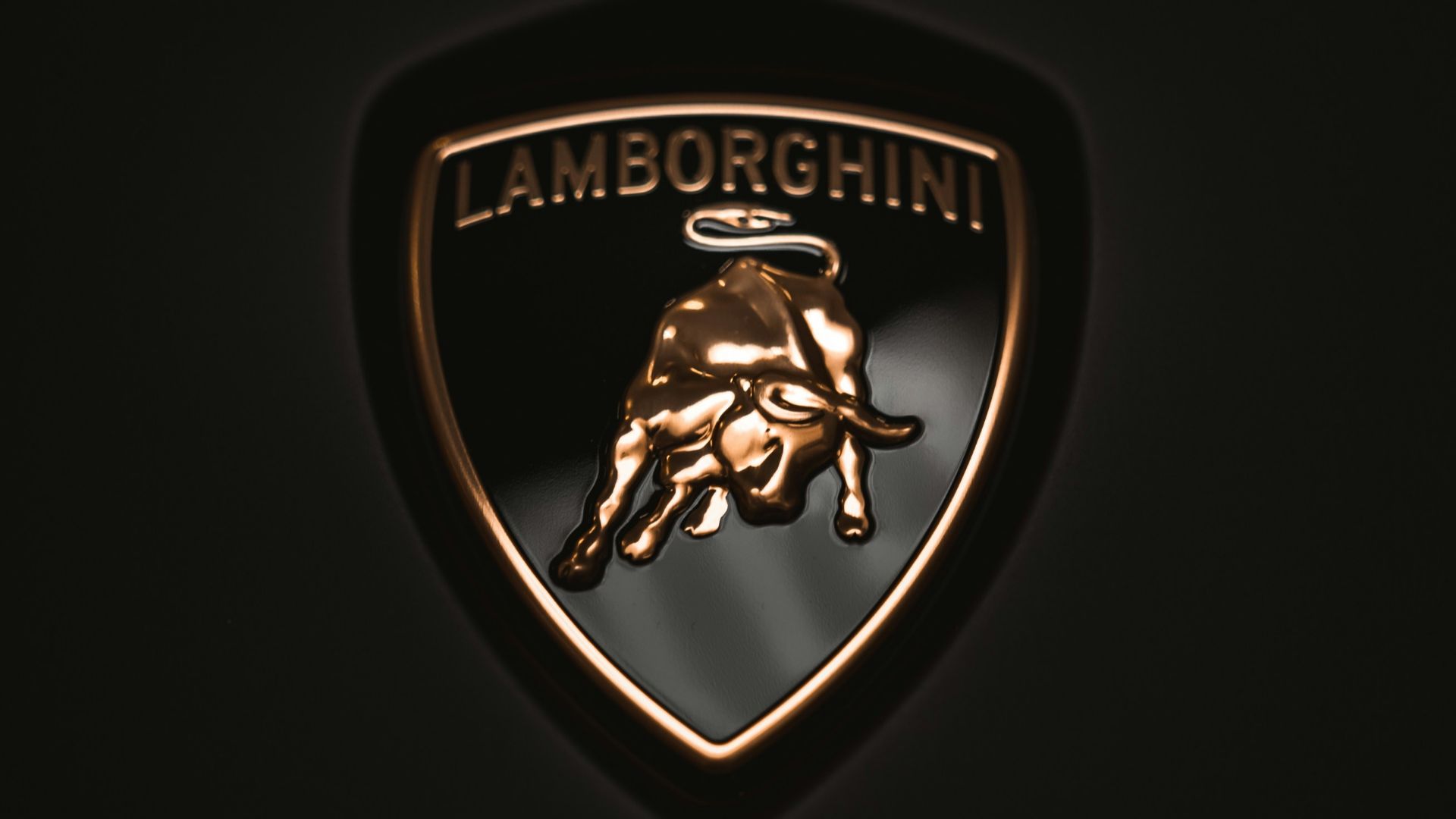 a lamb logo on a black background