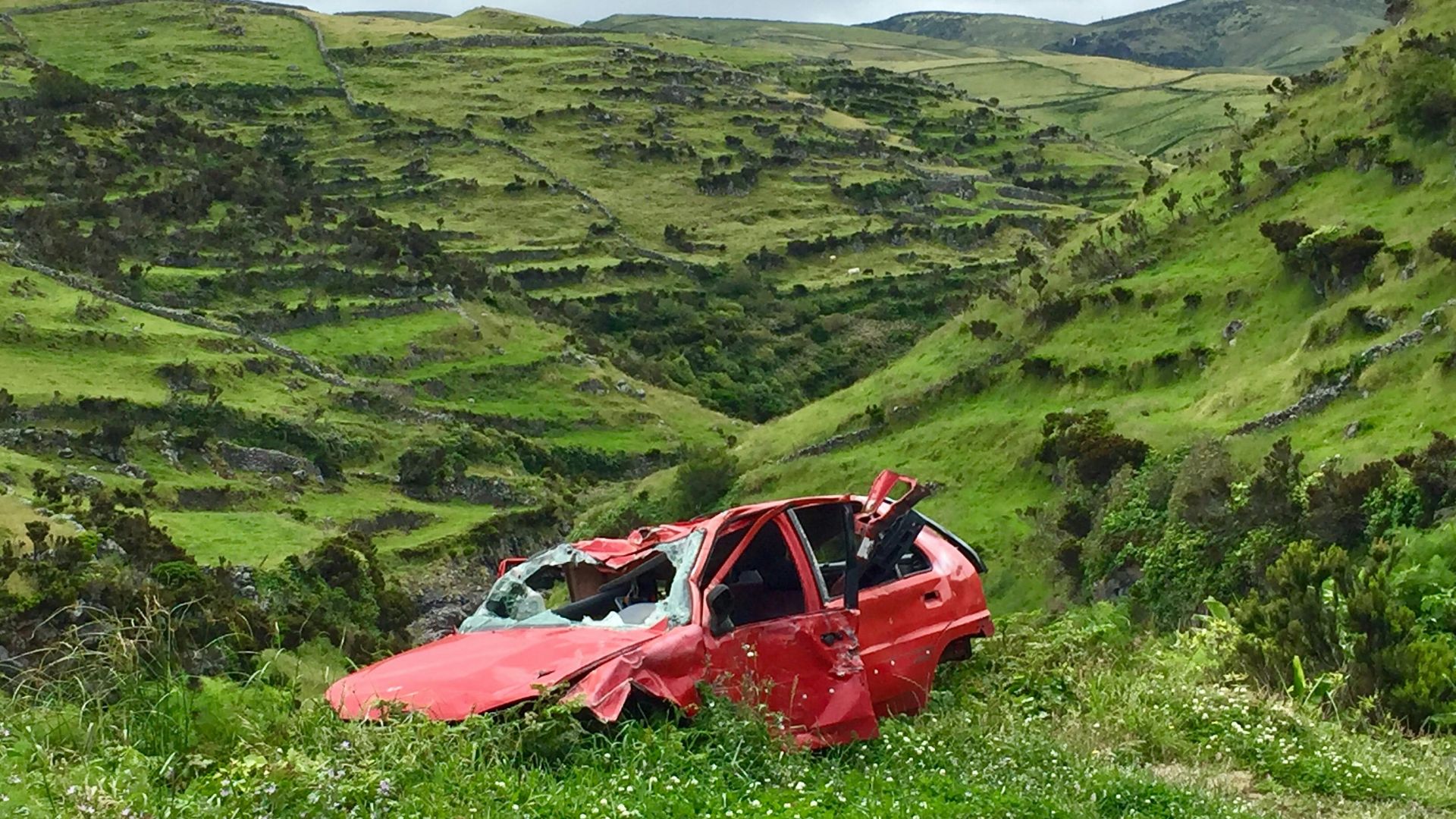 Dominika Kwiatkowska