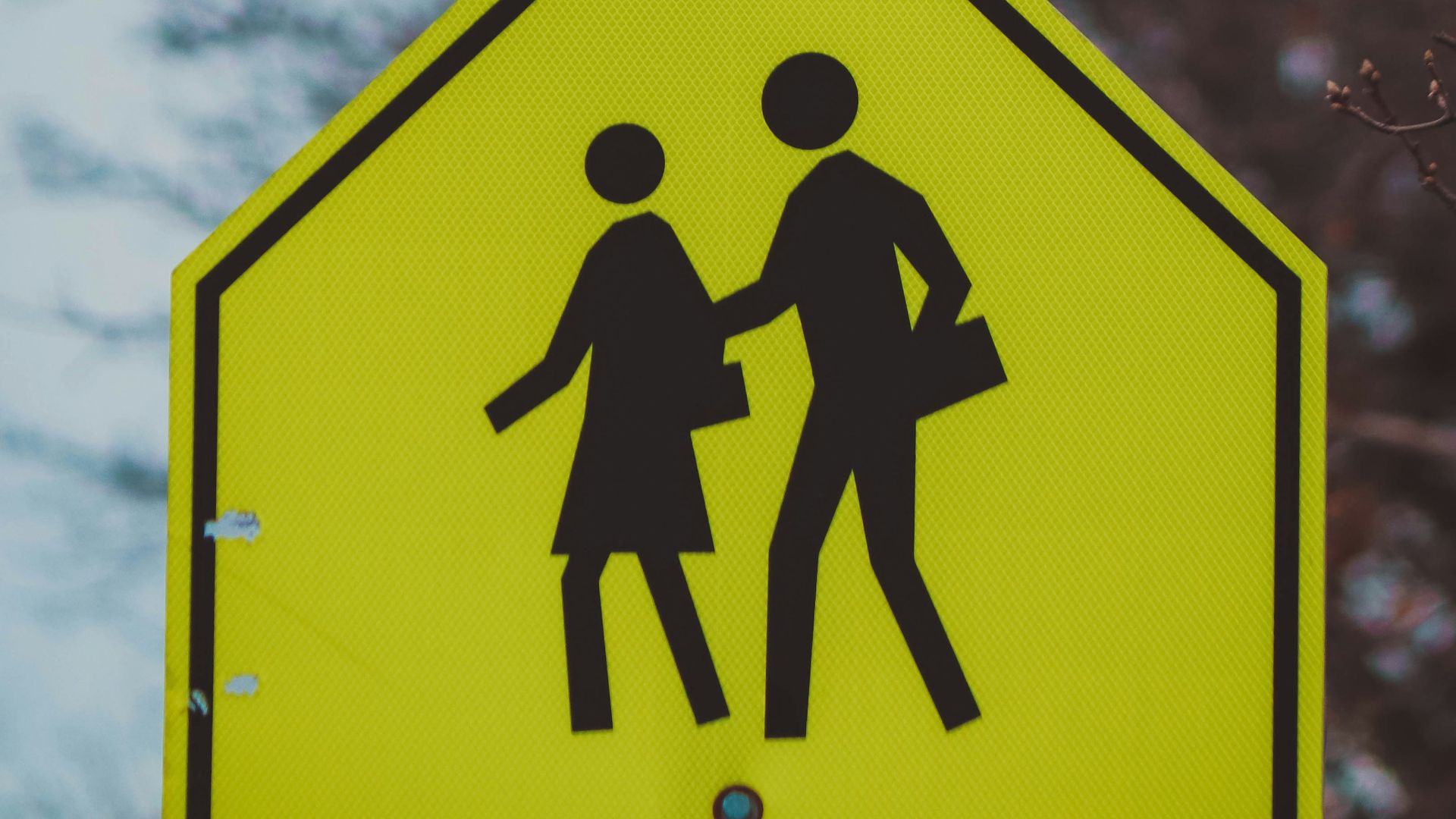 a yellow pedestrian crossing sign with a tree in the background