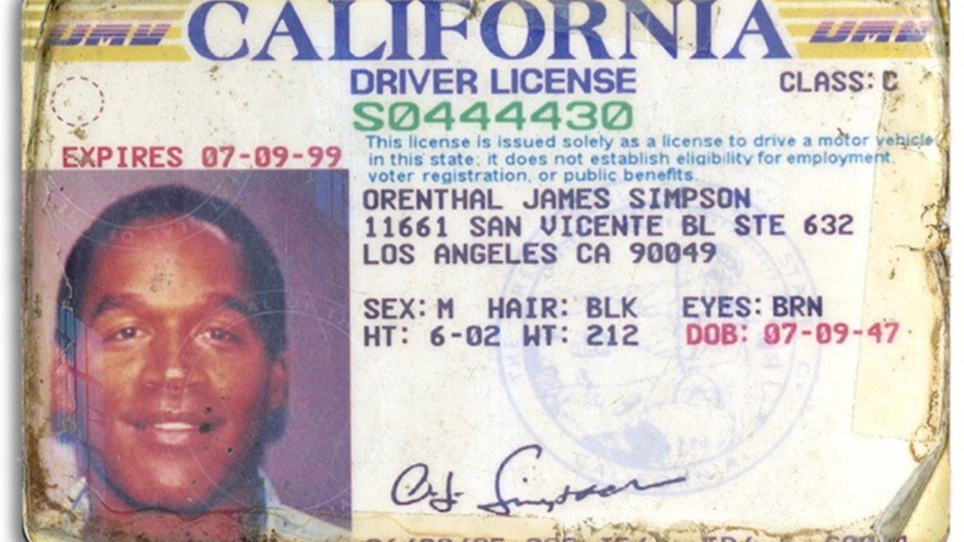 File:OJ Simpson's driver's license, 1995.jpg