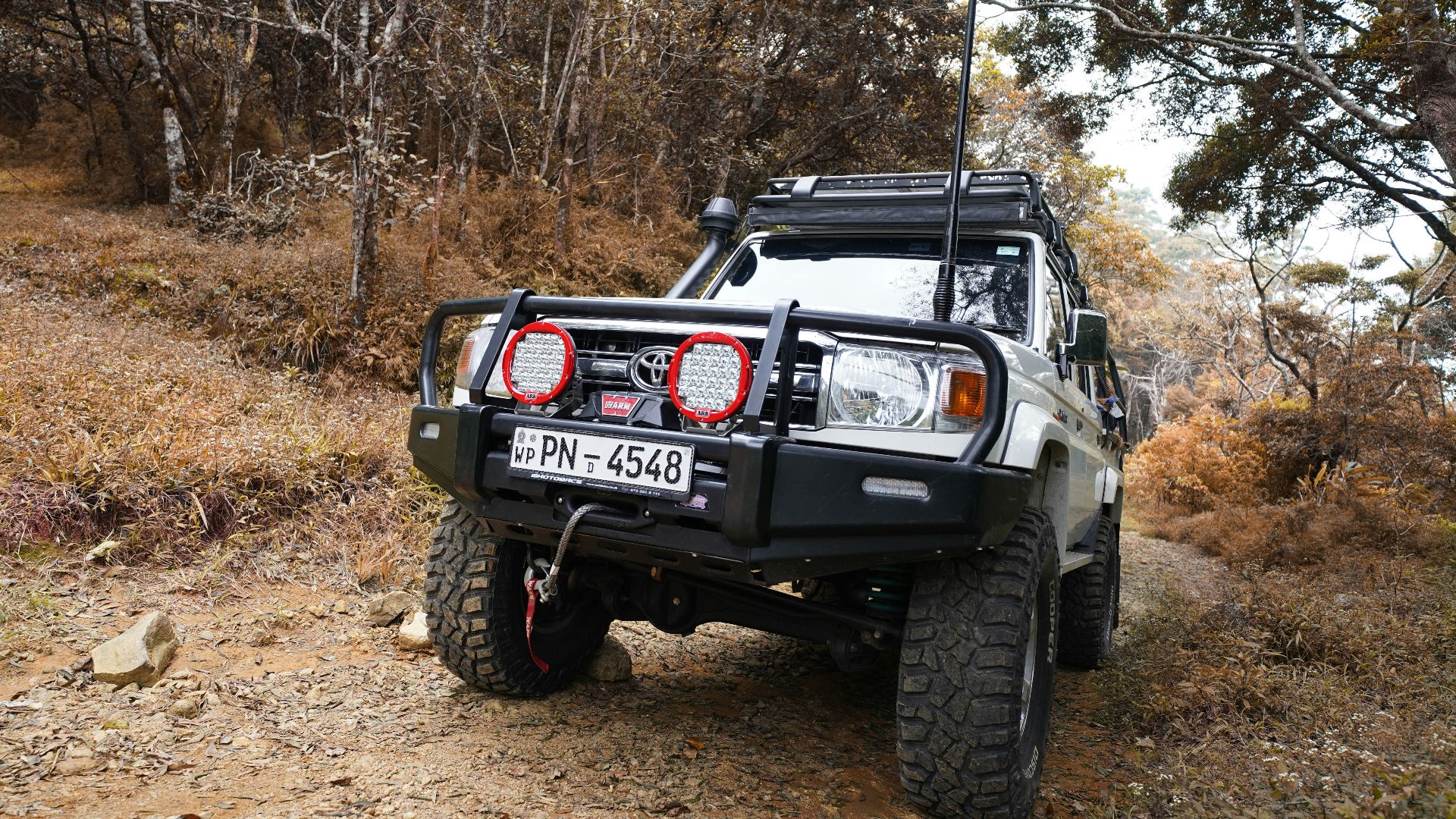black jeep wrangler on brown field surrounded by trees during daytime