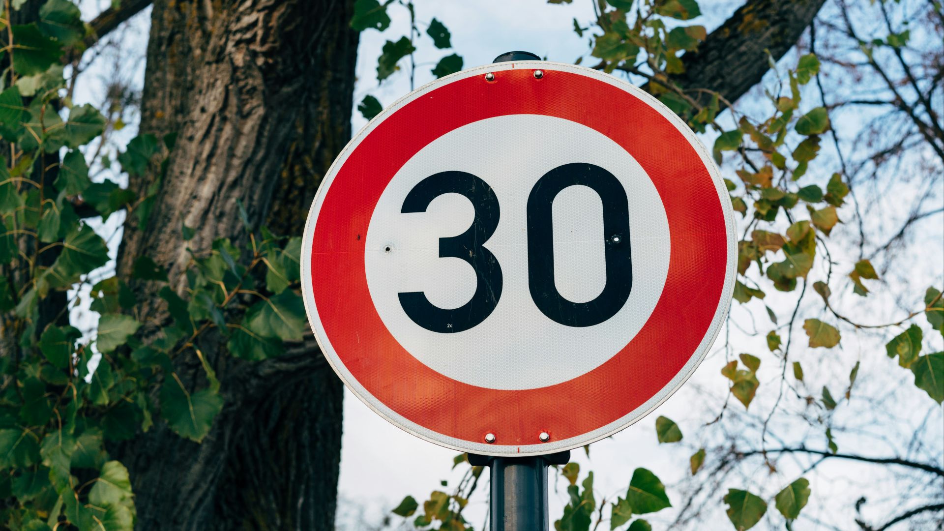 a red and white speed limit sign next to a tree