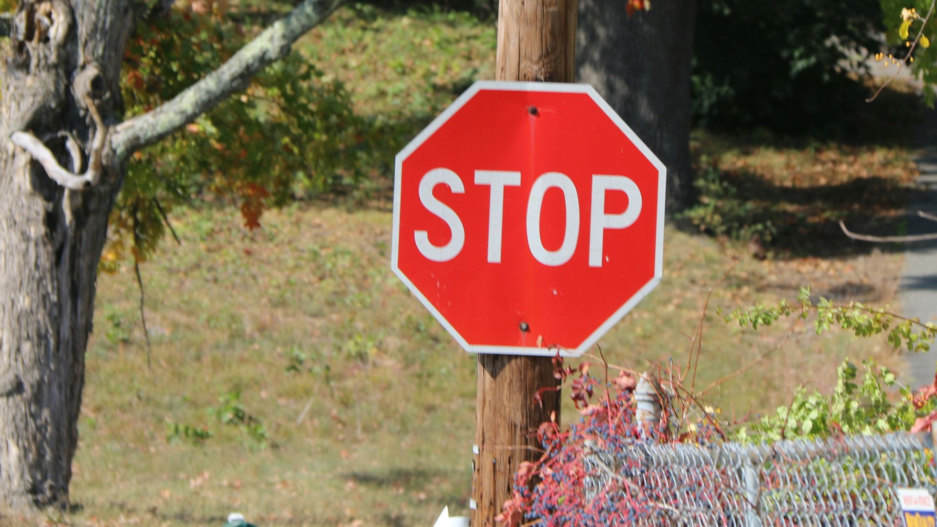 red and white stop sign