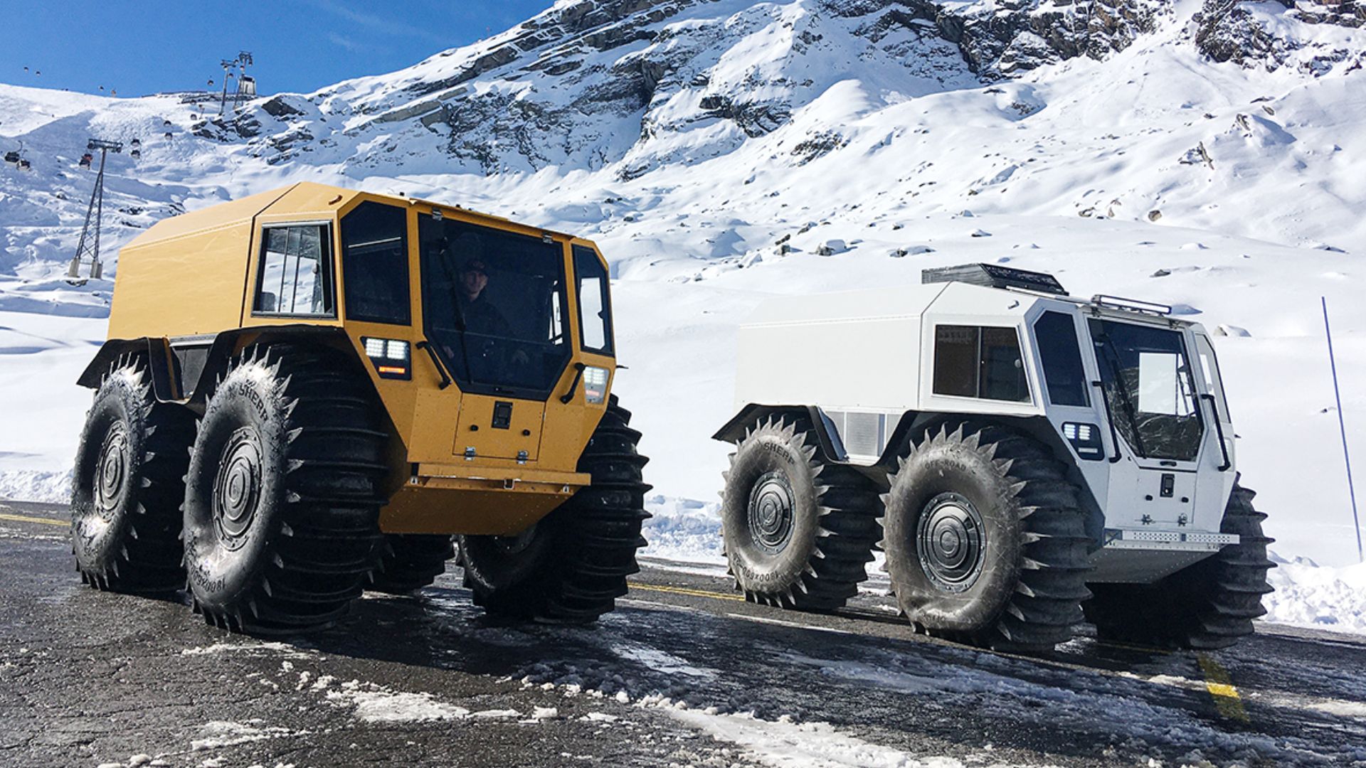 File:Sherp n 1200.jpg