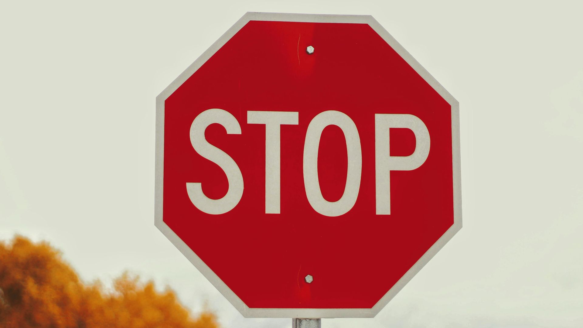 selective-photography of stop signage