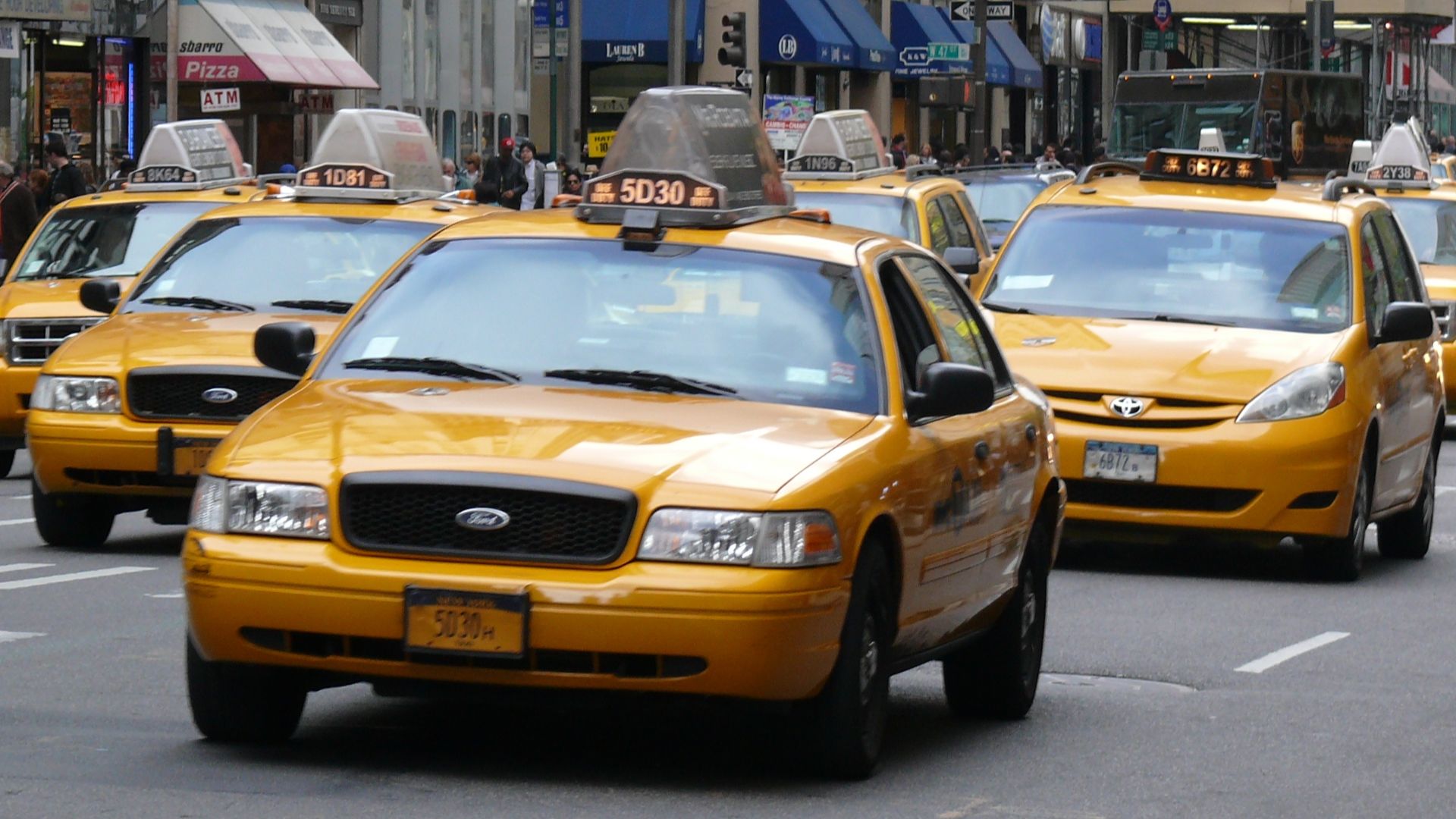 File:Yellow cabs 04.JPG