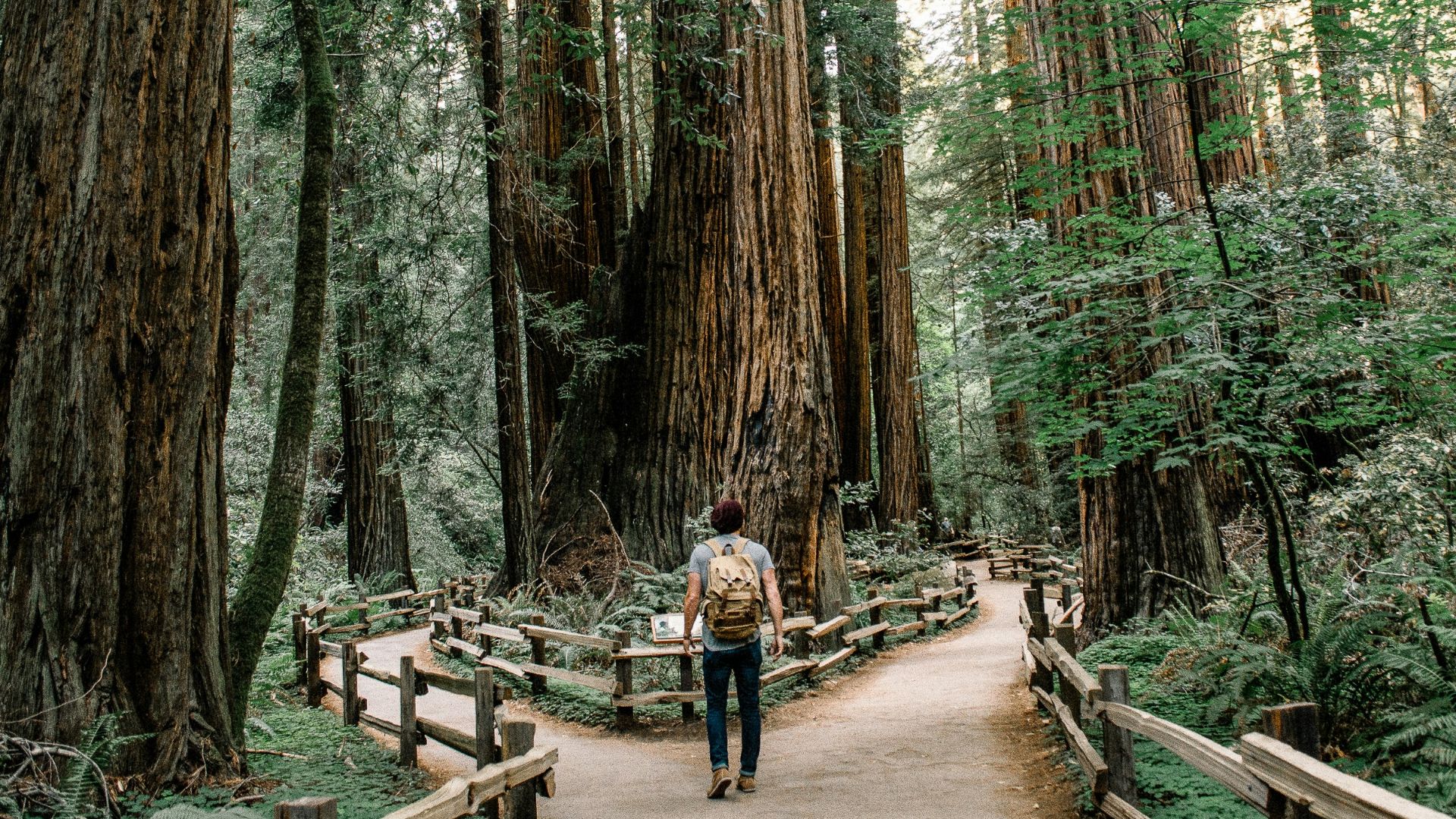 man wearing gray T-shirt standing on forest