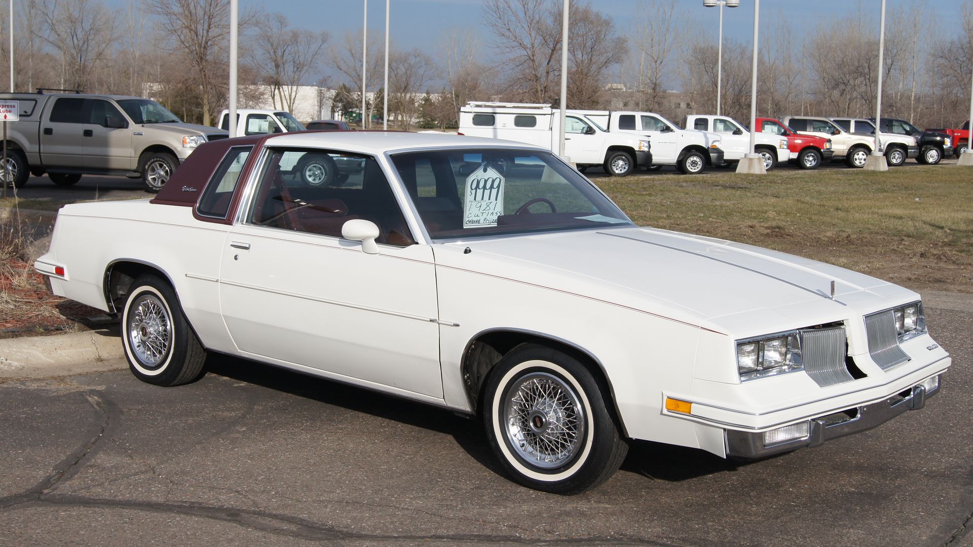 File:81 Oldsmobile Cutlass Supreme (13789519014).jpg