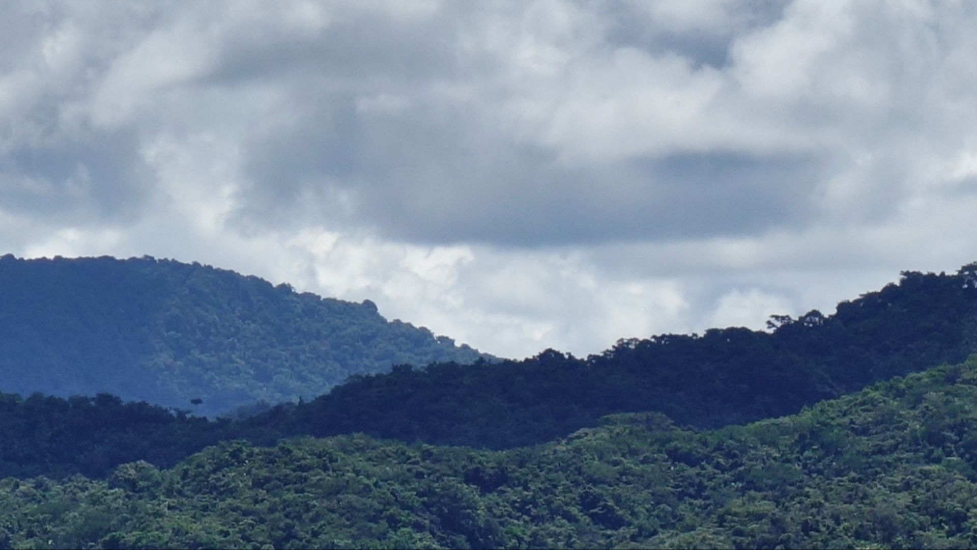 File:Darién From Caribbean.jpg